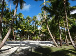 �o���[�{�[�� / �{���{���p�[���r�[�`���]�[�g