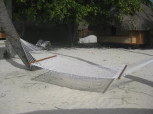 �n�����b�N / �{���{���p�[���r�[�`���]�[�g