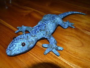 �g�J�Q�̃h�A�X�g�b�p�[