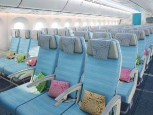 Picture of Moana Economy